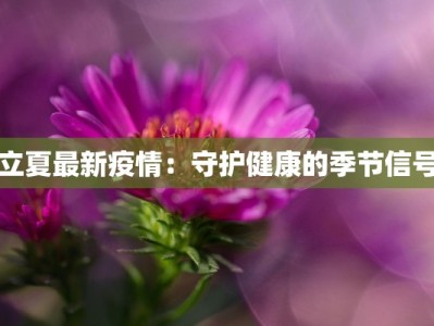 东莞石龙：疫情后重生，活力无限的魅力之城