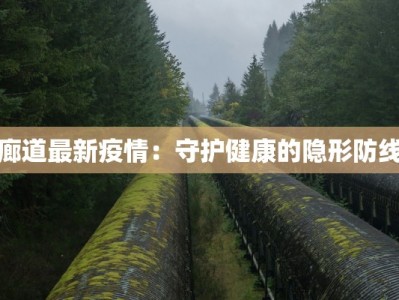 廊道最新疫情：守护健康的隐形防线