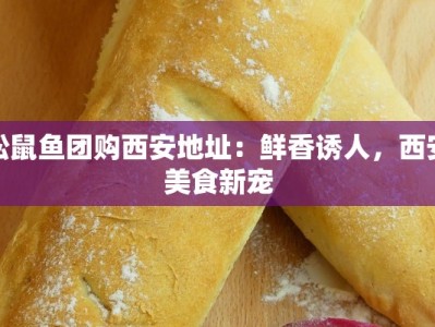 松鼠鱼团购西安地址：鲜香诱人，西安美食新宠