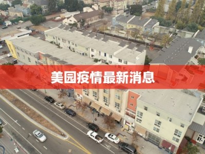 美园疫情最新消息