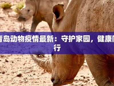 罗山疫情最新规定