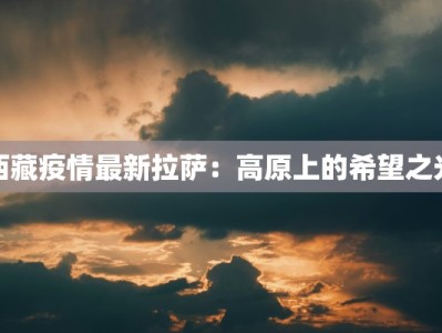 西藏疫情最新拉萨：高原上的希望之光