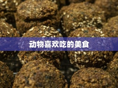 动物喜欢吃的美食
