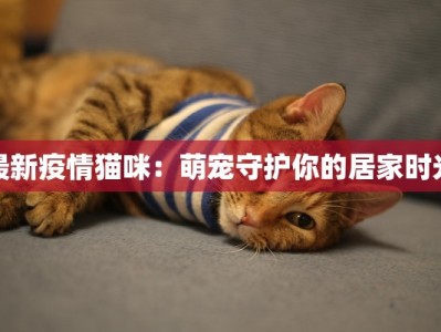 甘肃最新疫情通知最新