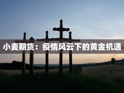 小麦期货：疫情风云下的黄金机遇