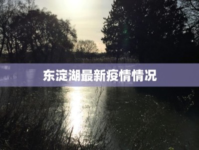东淀湖最新疫情情况