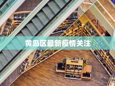 广州海关疫情通报最新：守护健康，畅行无阻的出行指南