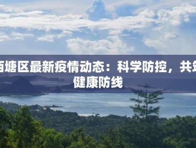 武都疫情明细最新