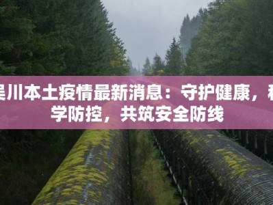吴川本土疫情最新消息：守护健康，科学防控，共筑安全防线