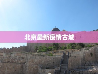 武汉团购大棒骨加盟：开启你的餐饮创业新纪元