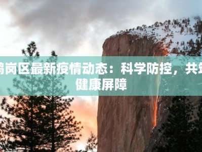 鹤岗区最新疫情动态：科学防控，共筑健康屏障