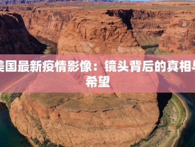 美国最新疫情影像：镜头背后的真相与希望