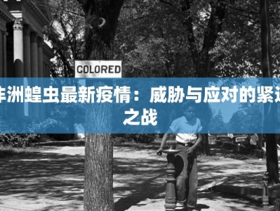 非洲蝗虫最新疫情：威胁与应对的紧迫之战