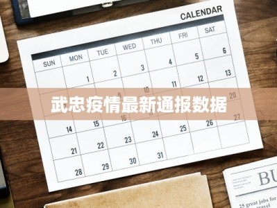 武忠疫情最新通报数据