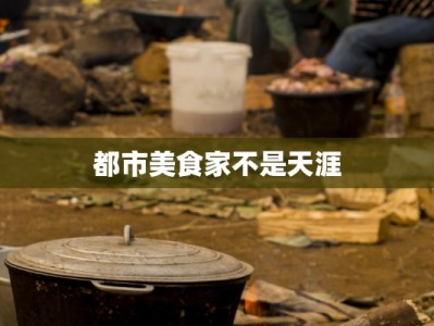 都市美食家不是天涯