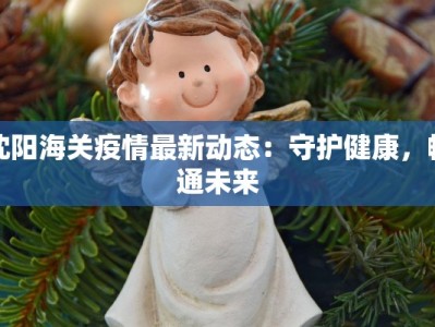 沈阳海关疫情最新动态：守护健康，畅通未来