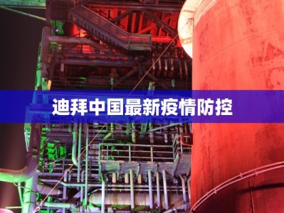 迪拜中国最新疫情防控