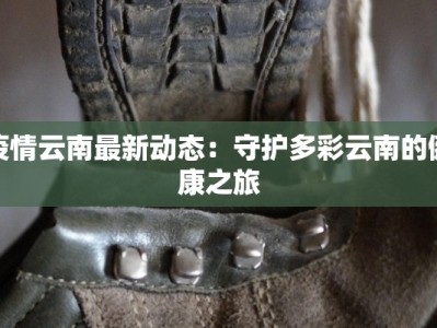 疫情云南最新动态：守护多彩云南的健康之旅