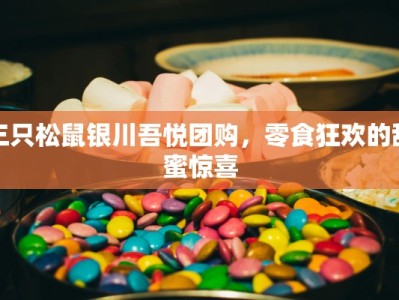 三只松鼠银川吾悦团购，零食狂欢的甜蜜惊喜