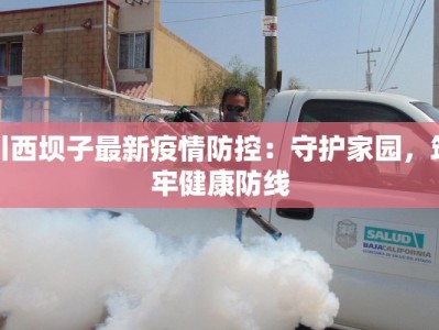 川西坝子最新疫情防控：守护家园，筑牢健康防线