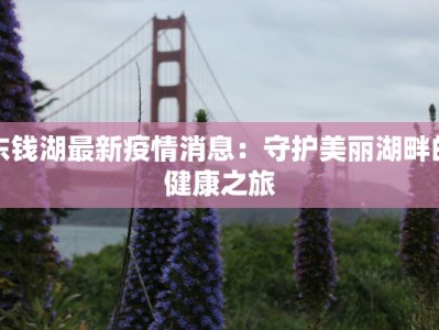 东钱湖最新疫情消息：守护美丽湖畔的健康之旅