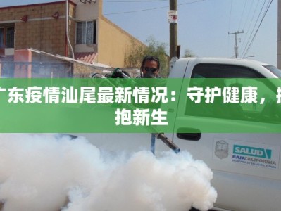 陇县疫情最新息：守护家园，共克时艰