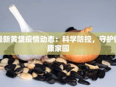 最新黄垡疫情动态：科学防控，守护健康家园