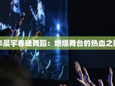 华晨宇春晚舞蹈：燃爆舞台的热血之舞
