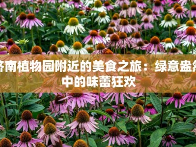 济南植物园附近的美食之旅：绿意盎然中的味蕾狂欢