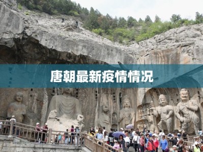 宁波最新疫情外卖指南：安全美味触手可及