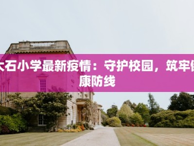 大石小学最新疫情：守护校园，筑牢健康防线