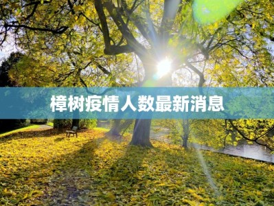 樟树疫情人数最新消息