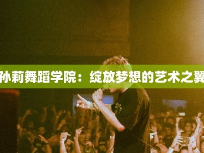 孙莉舞蹈学院：绽放梦想的艺术之翼