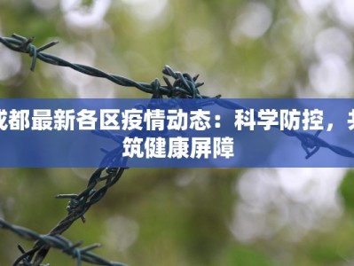 苗族舞蹈服装银铃苗花：铃声摇曳，花香醉人