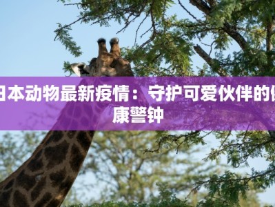 日本动物最新疫情：守护可爱伙伴的健康警钟