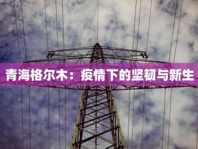 青海格尔木：疫情下的坚韧与新生