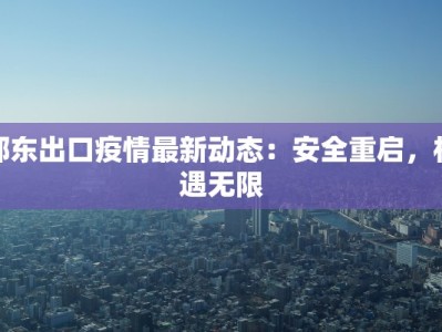 邵东出口疫情最新动态：安全重启，机遇无限