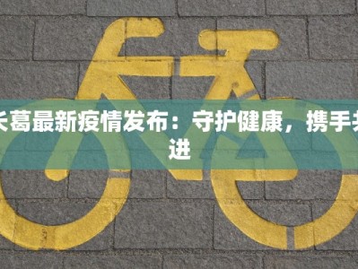 长葛最新疫情发布：守护健康，携手共进