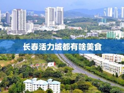 长春活力城都有啥美食