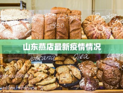 宁德斜滩最新疫情情况：守护家园，共克时艰