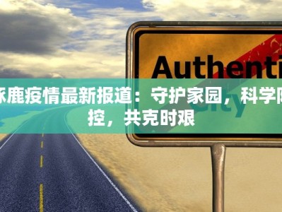 涿鹿疫情最新报道：守护家园，科学防控，共克时艰