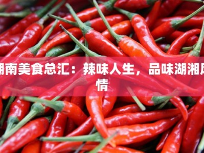湖南美食总汇：辣味人生，品味湖湘风情