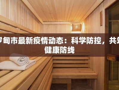 罗甸市最新疫情动态：科学防控，共筑健康防线