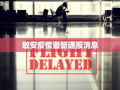 敬安疫情最新通报消息