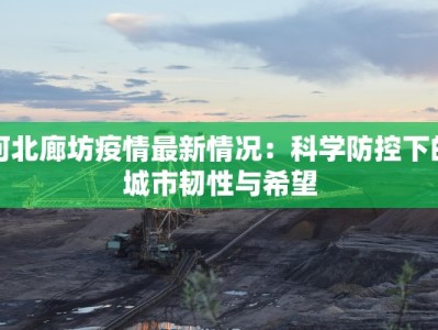 河北廊坊疫情最新情况：科学防控下的城市韧性与希望