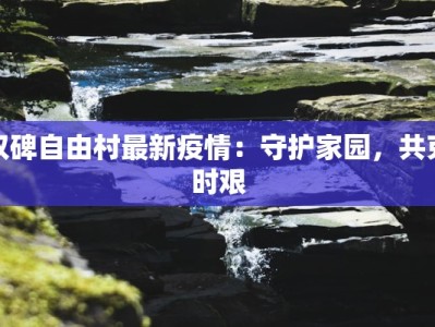 双碑自由村最新疫情：守护家园，共克时艰
