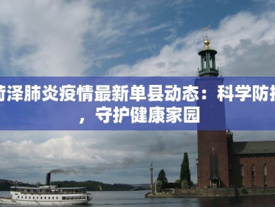 夏邑皇家舞蹈：优雅传承，舞动千年风华