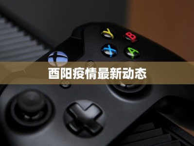 酉阳疫情最新动态