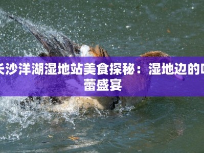 长沙洋湖湿地站美食探秘：湿地边的味蕾盛宴