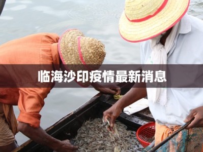临海沙印疫情最新消息